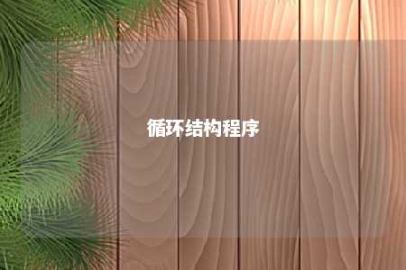 循环结构程序 