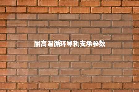 耐高温循环导轨支承参数 