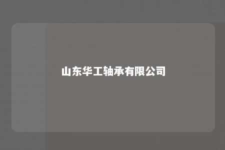 山东华工轴承有限公司 